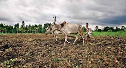अर्थव्यवस्थाः महंगाई से गांव, किसान बेहाल