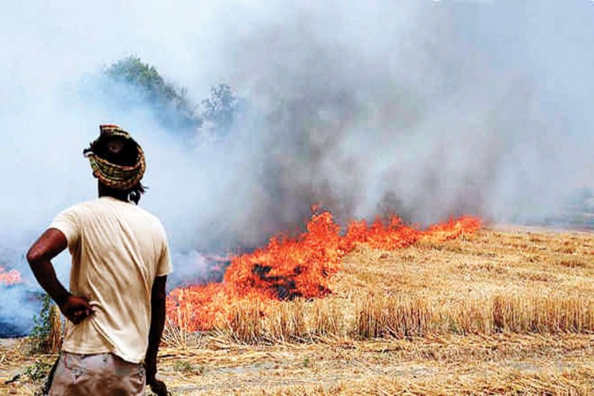 पंजाब के पर्यावरण मंत्री का दावा- राज्य में पिछले साल के मुकाबले पराली जलाने की घटनाओं में 30 फीसदी कमी