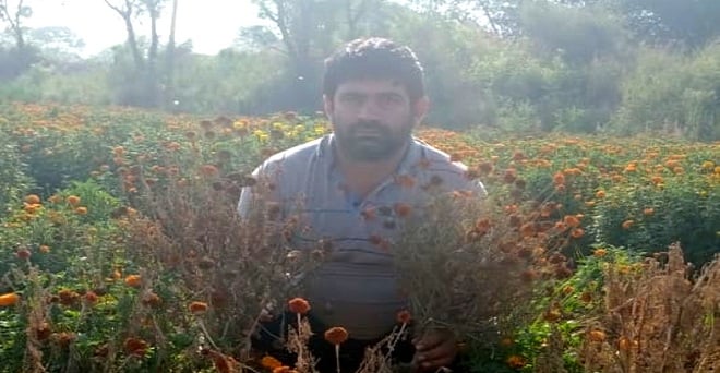  हरियाणा के रोहतक में फूल किसानों को लॉकडाउन के कारण भारी नुकसान हुआ है, ​जिले के किसानों का कहना है कि लॉकडाउन से पहले केवल 40 फीसदी फूलों की बिक्री ही हुई थी, बाकि सब सूख गए हैं इसलिए राज्य सरकार को मदद करनी चाहिए।