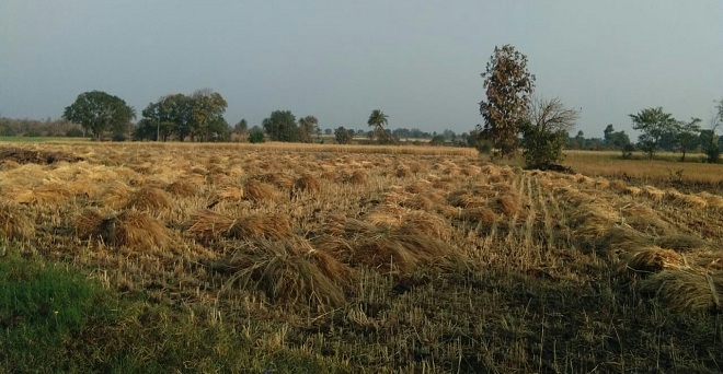 उत्तर भारत के कई राज्यों में अगले 24 घंटों में बारिश का अनुमान, फसल की कटाई होगी प्रभावित