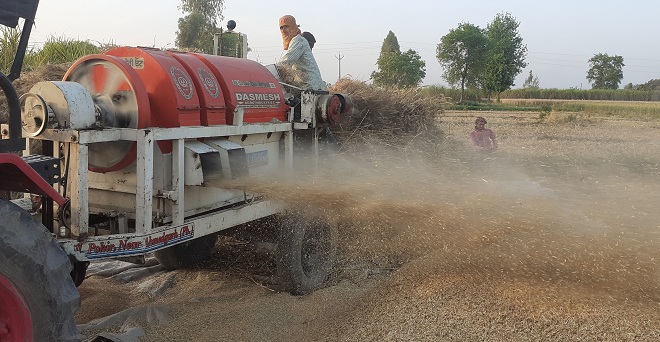 हरियाणा और पंजाब में गेहूं की खरीद बढ़ी, खराब मौसम ने बढ़ाई किसानों की चिंता