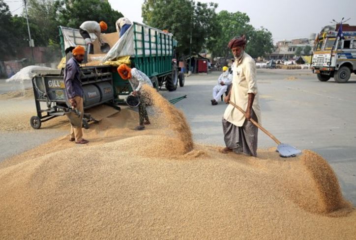 गेहूं के बाद अब आटा, मैदा और सूजी जैसे उत्पादों के निर्यात पर भी भारत सरकार ने लगाया प्रतिबंध, जानें