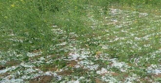 Hailstorm & rain in many states of North India, Fear of damage to crops