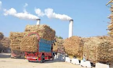 कैबिनेट: चीनी निर्यात के लिए 3500 करोड़ रुपये सब्सिडी की मंजूरी, गन्ना किसानों के खाते में सीधे जाएगा पैसा