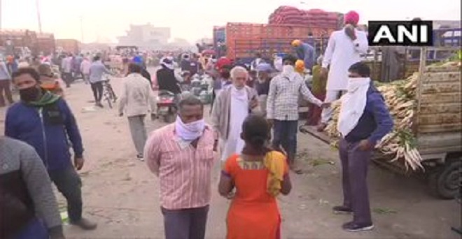 लॉकडाउन के दौरान पंजाब के अमृतसर में थोक सब्जी मंडी में सब्जियों की खरीद करते ग्राहक
