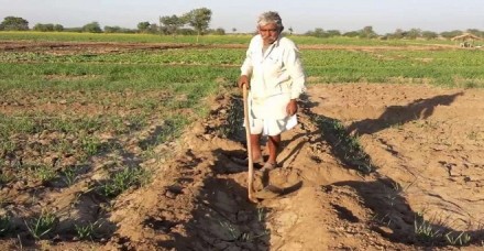 राजस्थान के किसान उपज को गिरवी रखकर कम ब्याज दर पर ले सकेंगे कर्ज