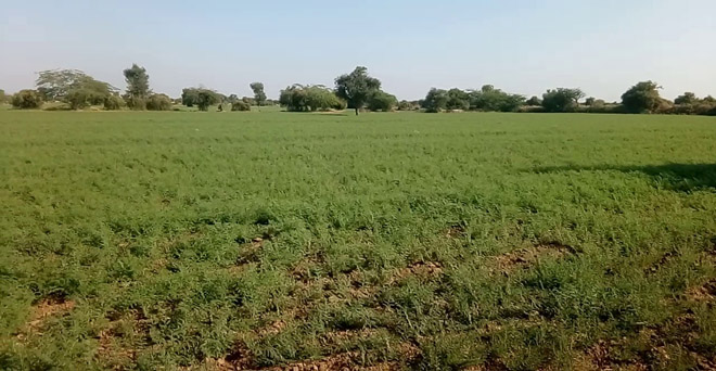 God trust farming 40% farmers of Rajasthan will be aware ...