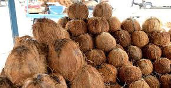 केंद्र सरकार ने पके छिले नारियल के समर्थन मूल्य में 5 फीसदी की बढ़ोतरी की