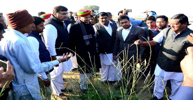 राजस्थान के मुख्यमंत्री अशोक गहलोत ने जैसलमेर जिले में टिड्डियों के प्रकोप से प्रभावित क्षेत्रों का दौरा किया। रामगढ़ से आसुतार मार्ग पर खेतों में टिड्डियों से हुए नुकसान को देखा।
