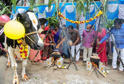 बेंगलुरु में 'मकर संक्रांति' और 'पोंगल' त्योहार पर गुड़ के साथ पारंपरिक व्यंजन तैयार करते भक्त