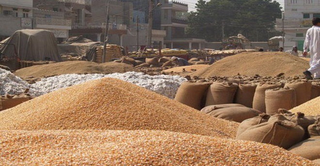 देश में खाद्यान्न का रिकॉर्ड 29.56 करोड़ टन उत्पादन का अनुमान, चावल और गेहूं की बंपर पैदावार