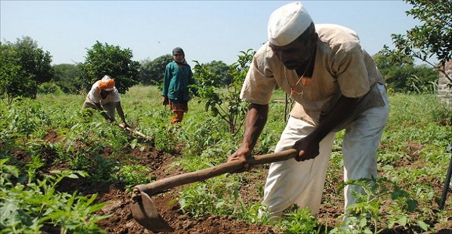 तेलंगाना के किसानों के बैंक खाते में 10 दिन में जमा होगी रयथू बंधु योजना की राशि