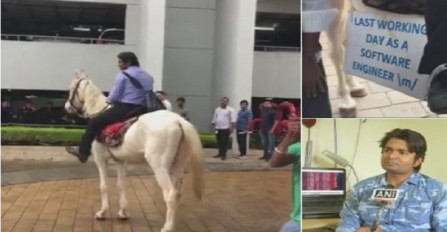 नौकरी के आखिरी दिन घोड़े पर बैठकर गया ये सॉफ्टवेयर इंजीनियर, वजह है दिलचस्प