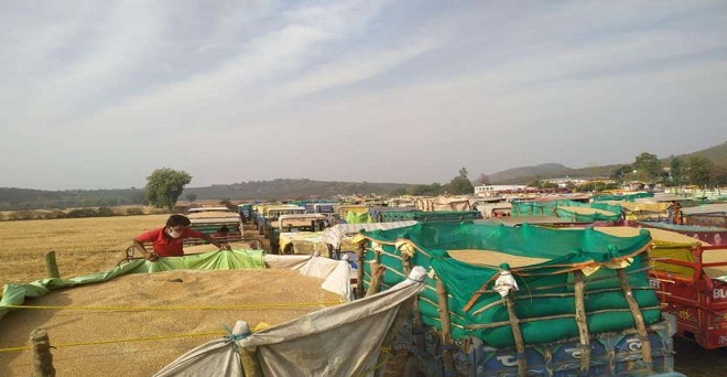 Farmer's death at Agar-Malwa in Madhya Pradesh, farmer was in line ...