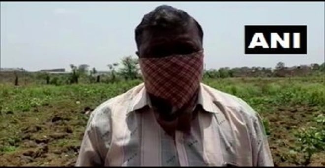मध्य प्रदेश के शिवपुरी जिले में एक किसान ने कहा कि टिड्डियों ने हमारी फसल को नष्ट कर दिया। हमने एहतियाती उपाय जैसे कि कीटनाशकों का छिड़काव, ड्रम और बर्तनों की मदद से ध्वनि भी की थी