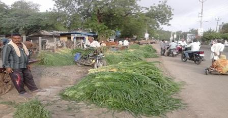 जगदीश मालवीय