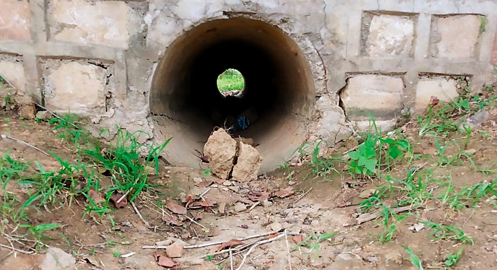 प्रधान के आदमियों ने इस पुलिया के नीचे छिपे लोगों को निकालकर गोली मारी