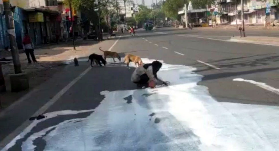 बर्बादीः आगरा में किसानों को दूध के खरीदार नहीं मिले तो रास्ते पर ही उड़ेल दिया