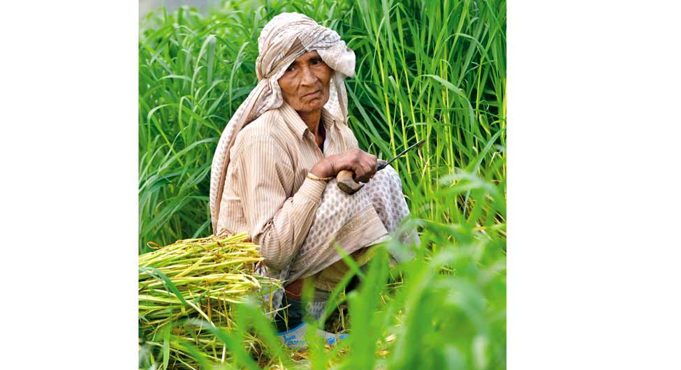 मंगला देवी मंगला देवी