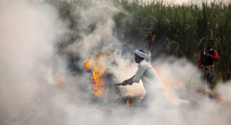 स्विस संगठन आइक्यूएयर के अनुसार दुनिया के 30 सबसे प्रदूषित शहरों में 22 भारत के हैं। समाधान के लिए क्षेत्रीय नजरिया अपनाना जरूरी स्विस संगठन आइक्यूएयर के अनुसार दुनिया के 30 सबसे प्रदूषित शहरों में 22 भारत के हैं। समाधान के लिए क्षेत्रीय नजरिया अपनाना जरूरी