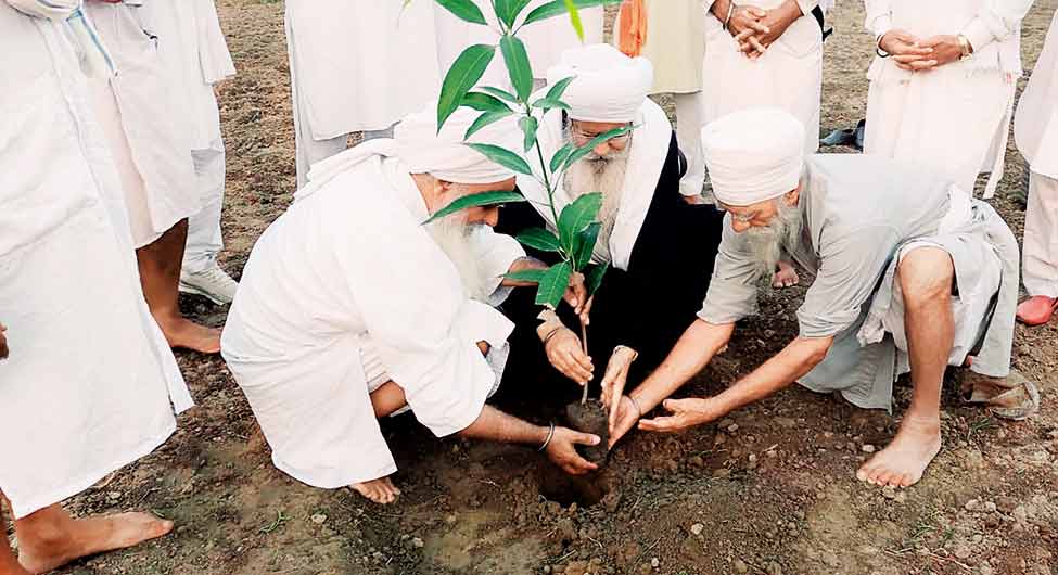 सेवा सिंह सेवा सिंह