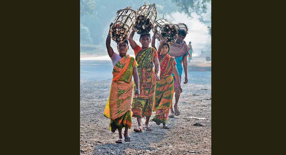 आदिवासियों से जमीन हड़प ली जाती है, जिससे वे मजदूरी को बाध्य होते हैं आदिवासियों से जमीन हड़प ली जाती है, जिससे वे मजदूरी को बाध्य होते हैं