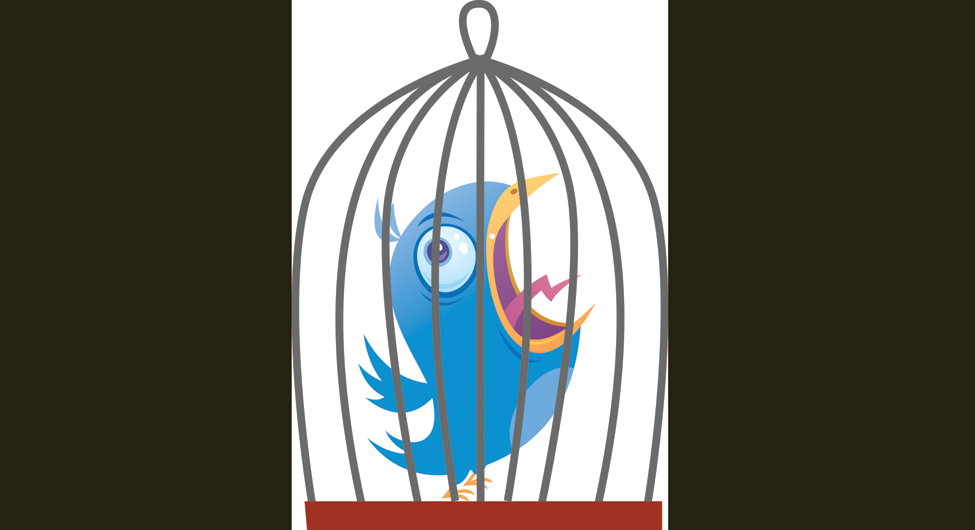 ट्विटर: आजाद या कैद में है पंछी?
